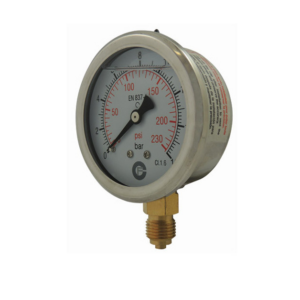 Manomètre Inox à bain de silicone - Raccord Radial - Pression standard 0 à 10 - ø100