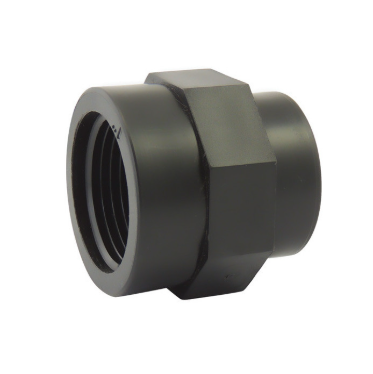 Mamelon femelle - femelle